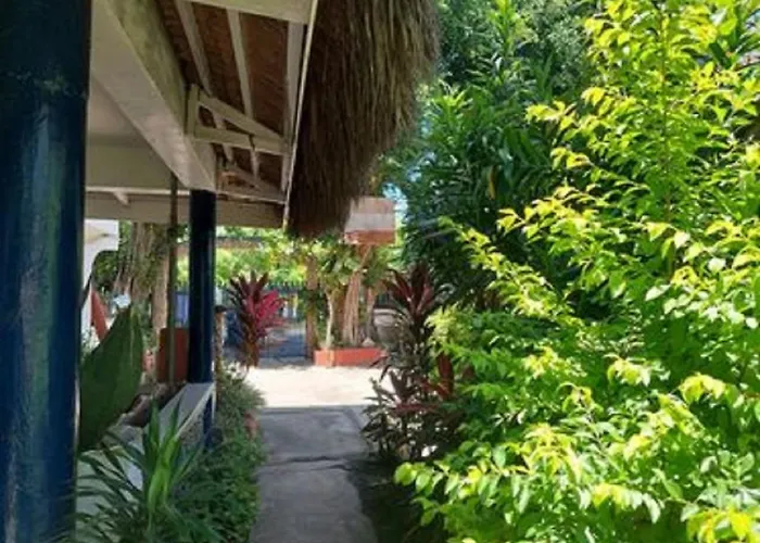 Stevrena 4*