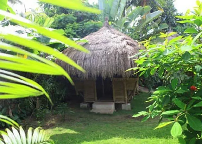 Stevrena